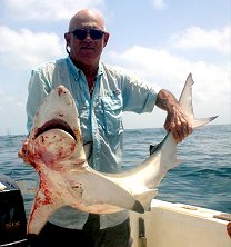 kayak shark fishing galveston kayak shark fishing galveston